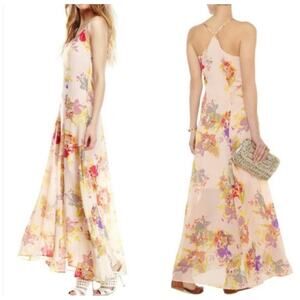 W118 BY WALTER BAKER Giavanna Dress Pink Floral Maxi Long Spaghetti Strap Small